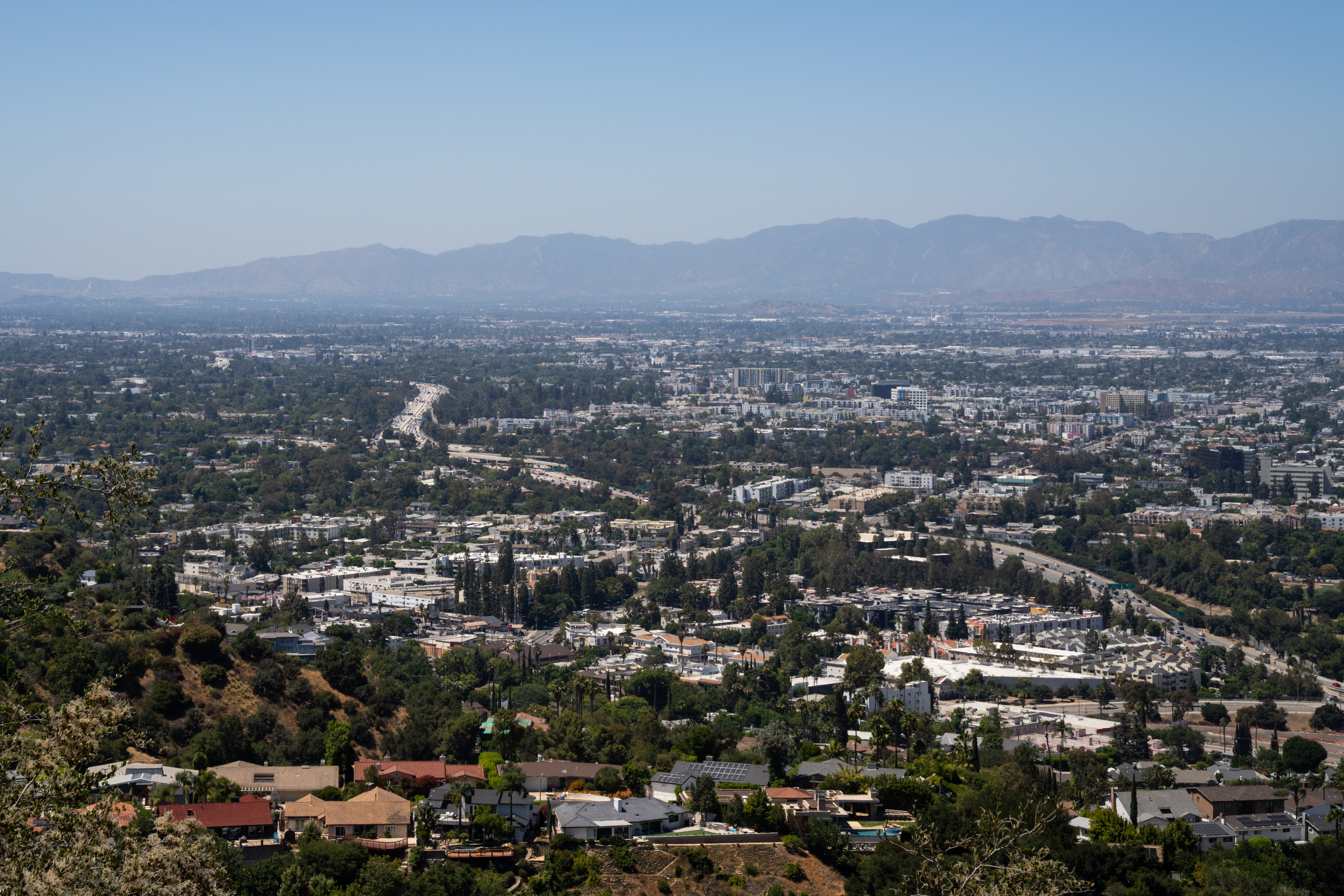 Here Are The Candidates For LA City Council District 3