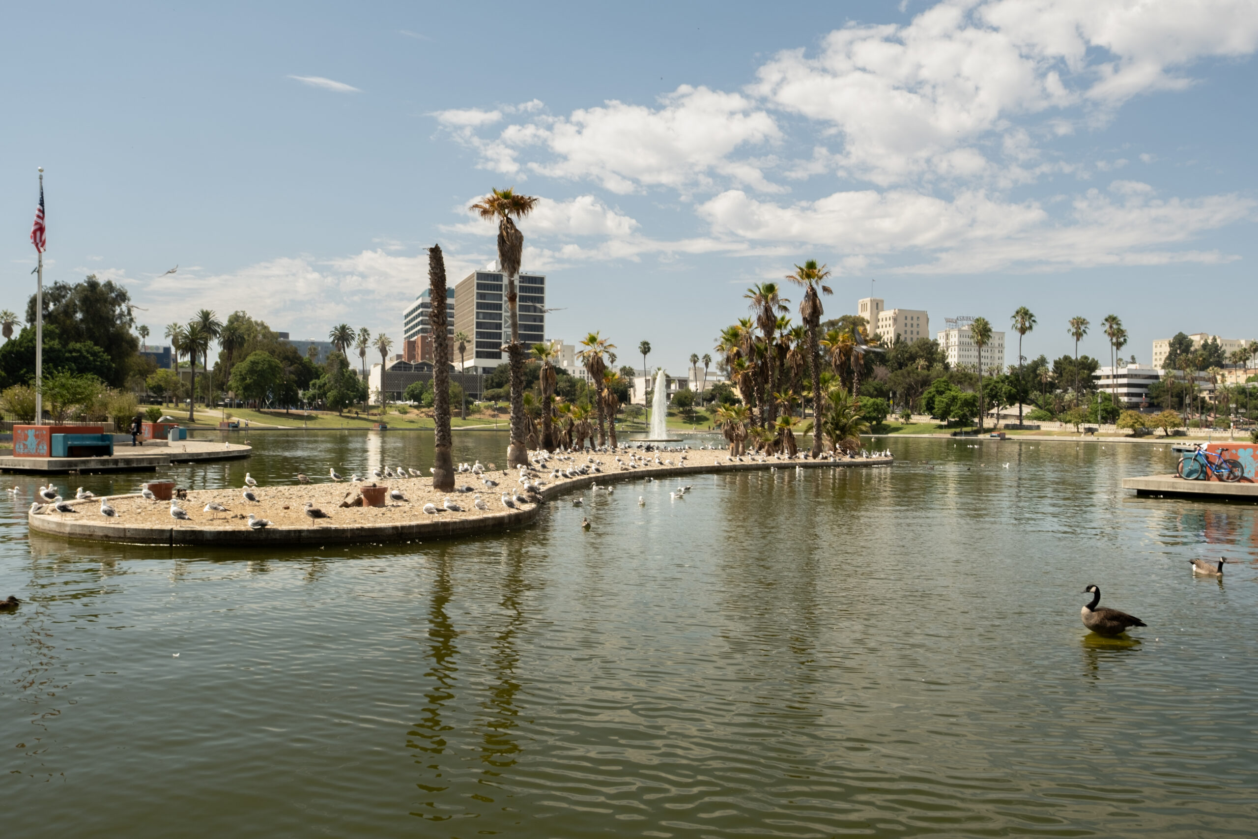Here Are The Candidates For LA City Council District 1