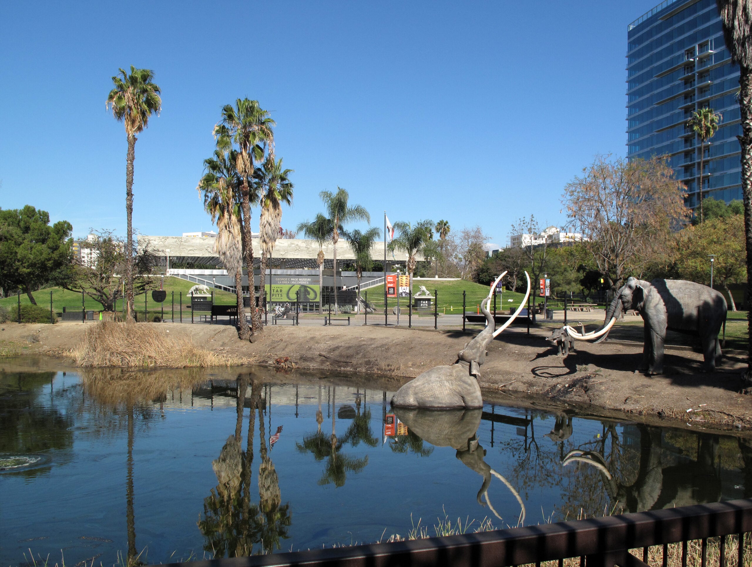 Here Are The Candidates For LA City Council District 5